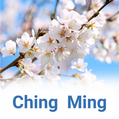 Qingming Festival Holiday Notice